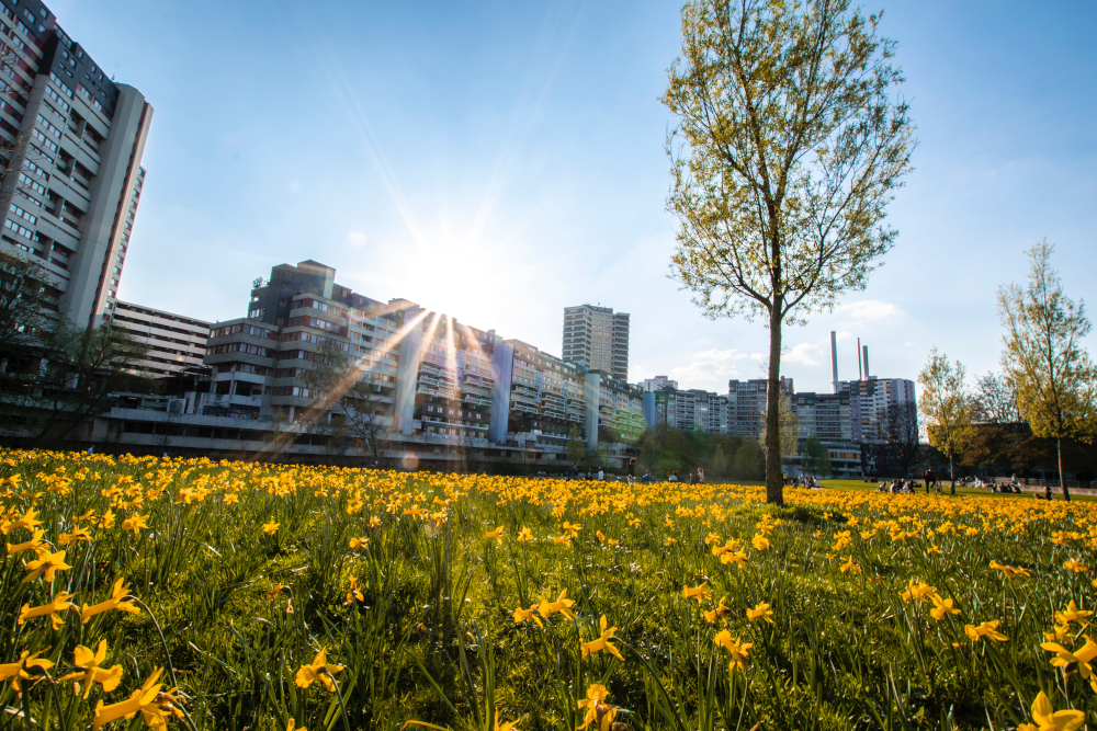 Investor und Unternehmer Birger Dehne: Hannovers Wohnimmobilienmarkt bleibt in der Corona-Krise stabil