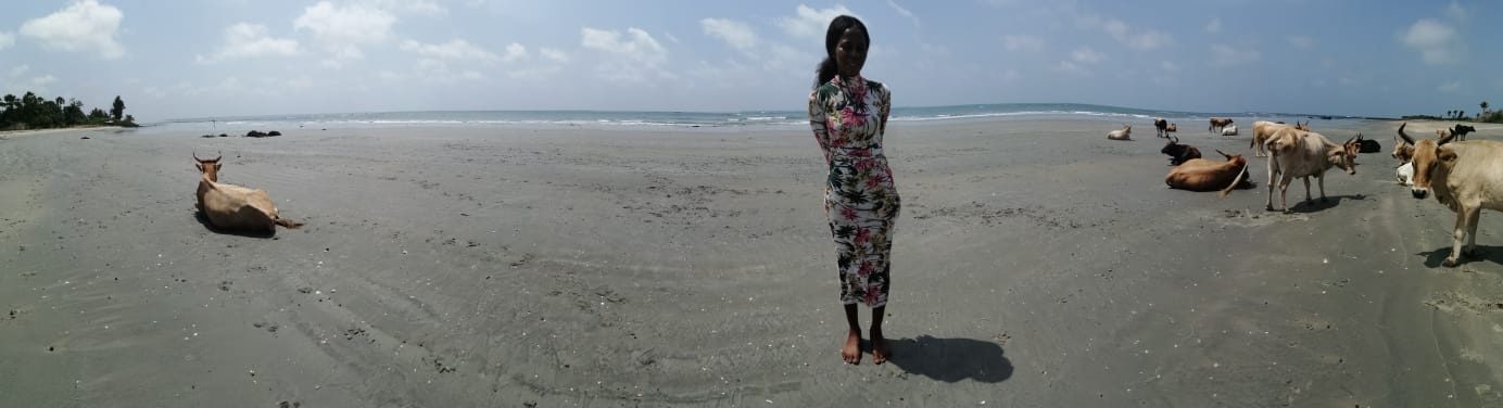 SanyangEcoLodgeCowsBeachMai SanyangEcoLodgeCowsBeachMai