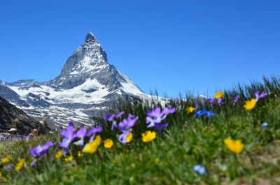 schweiz trotz corona beliebtes auswanderziel bei deutschen