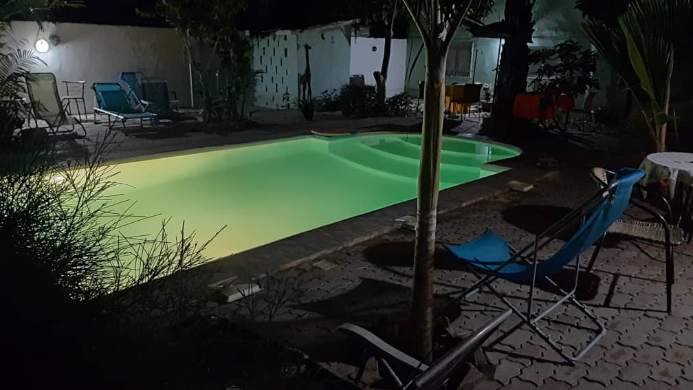 Pineapplepoolnight