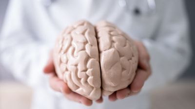 jens schwamborn - Jens Schwamborn: Mit Mini-Brains gegen Parkinson