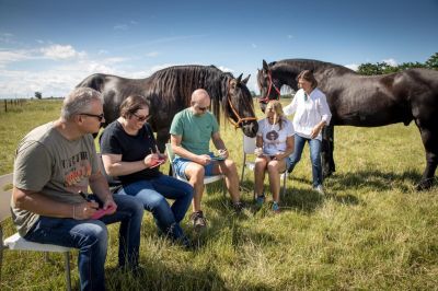 bild 46 - EQzellent® bietet erste blended-learning Ausbildung für pferdegestützte Team- und Führungskräfteentwicklung an