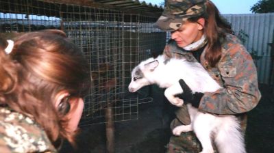 pelz 24 - Nacht- und Nebelaktion: Deutsches Tierschutzbüro befreit Marderhunde & Füchse aus Pelzfarm