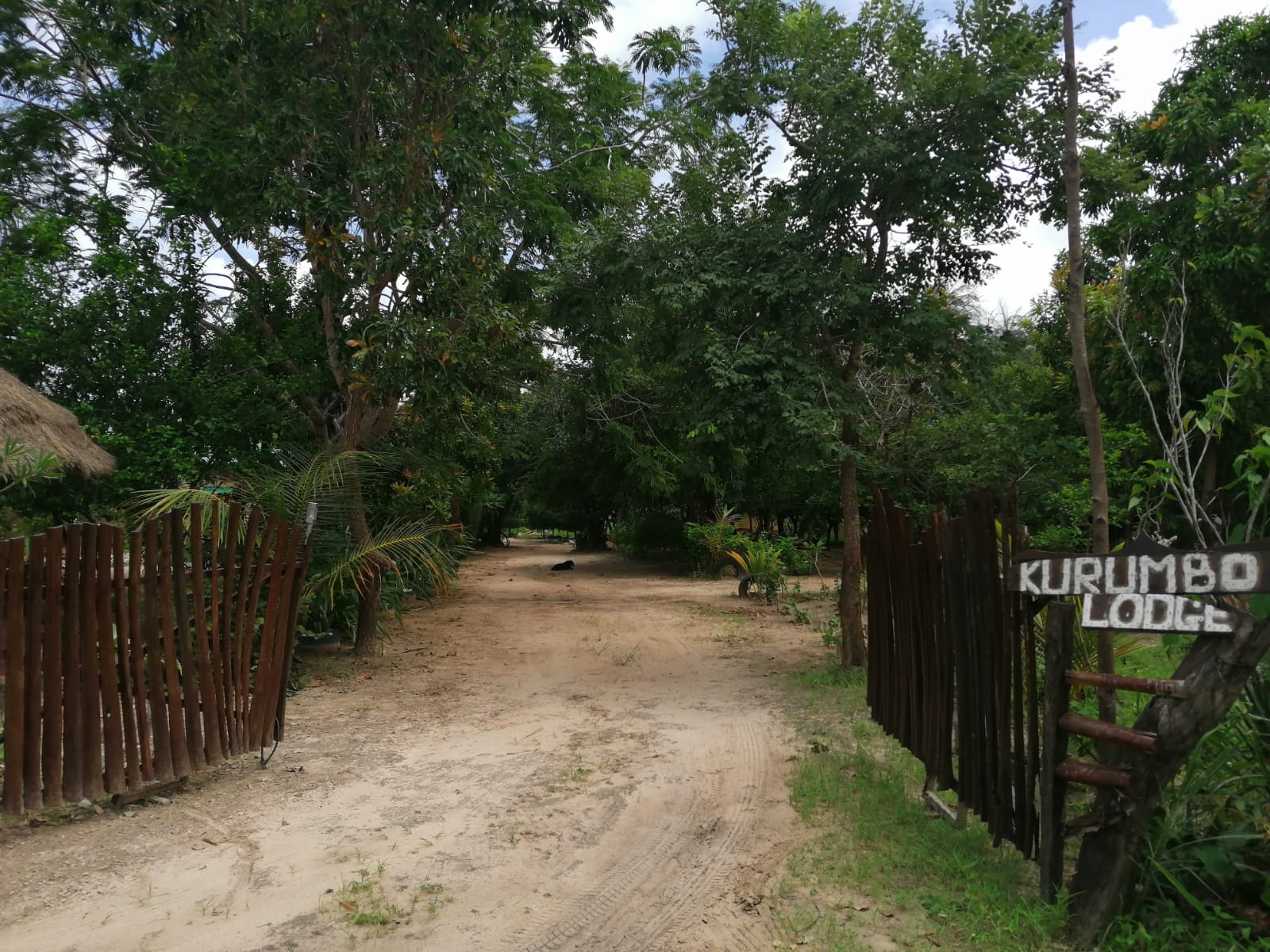 DIE KURUMBO ECO LODGE IN KARTONG (GAMBIA) IST EIN STÜCK HEILE WELT IN WESTAFRIKA