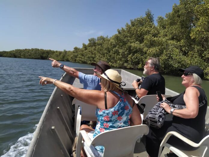 Die Kurumbo- Lodge Ausflüge auf dem Halahin River sind spektakulär und sehr beliebt, die Tierwelt extrem artenreich. Rechts im Bild die Mangrovenwälder des Nachbarlandes Senegal