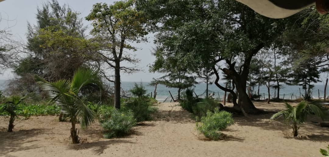 Gambias naturbelassene Atlantikinsel „Jinack“ bietet neben einem 12km langen herrlichen Sandstrand absolute Ruhe & Beschaulichkeit