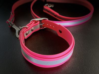Neue Neon Hundehalsband-Design-Collection bringt den Vierbeiner ins sichere Licht