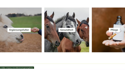 Horse Vitality Company : Hochwertiges Pferdefutter für die optimale Gesundheit Ihrer Vierbeiner