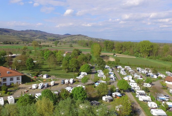 Pinot and Rock meets Camping